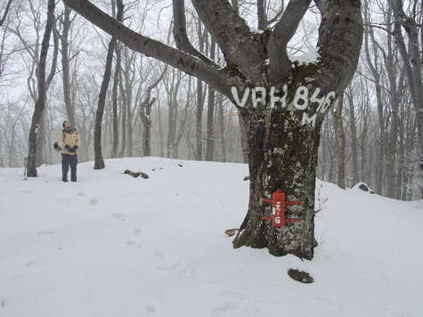 Strahinjščica - Sušec 846 m/nv