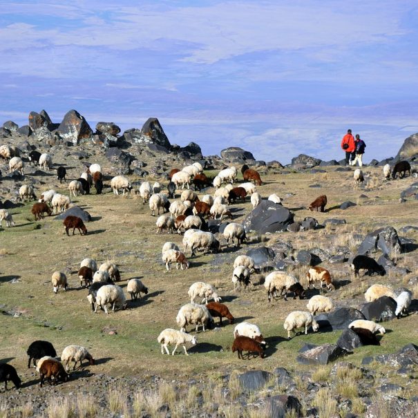 Ararat treking potovanje 4 605x605