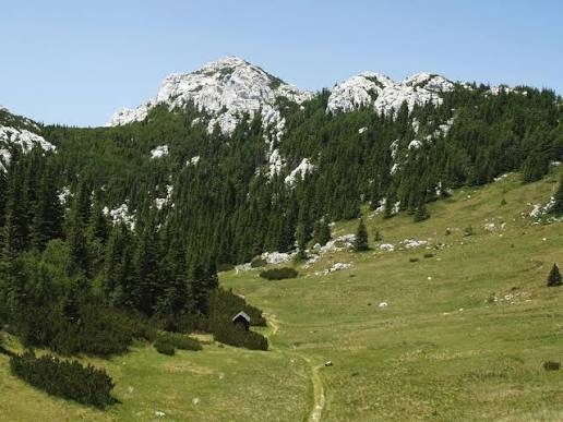 NP sj. Velebit - Zavižanska kosa - Balinovac 1602 m/nv