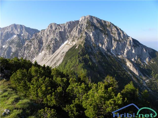 Lokovnikov Grintovec / Grintoutz...