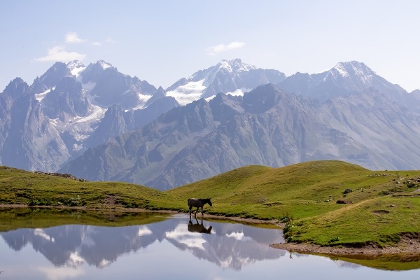 Kazbek5