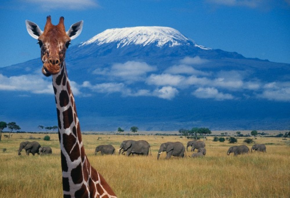 Kili2
