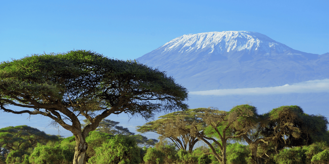 Kilimanjaro 5895 m/nv